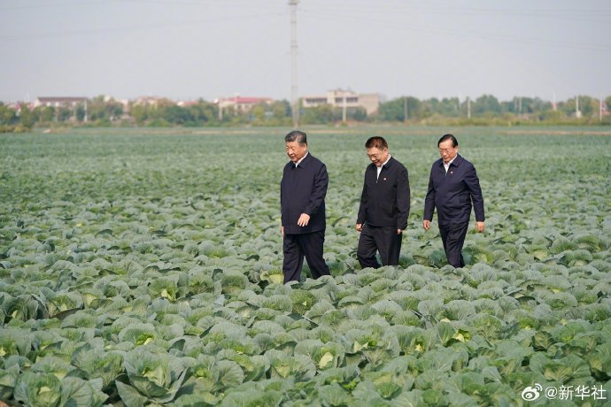 习近平在湖北考察调研