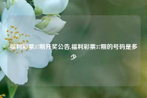 福利彩票37期开奖公告,福利彩票37期的号码是多少