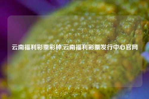 云南福利彩票彩种,云南福利彩票发行中心官网