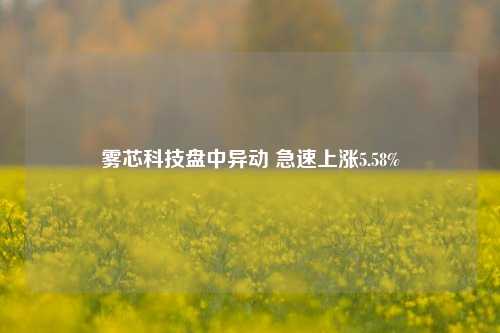 雾芯科技盘中异动 急速上涨5.58%