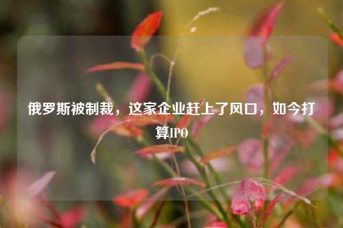 俄罗斯被制裁，这家企业赶上了风口，如今打算IPO