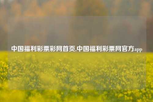 中国福利彩票彩网首页,中国福利彩票网官方app