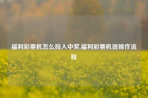 福利彩票机怎么投入中奖,福利彩票机器操作流程