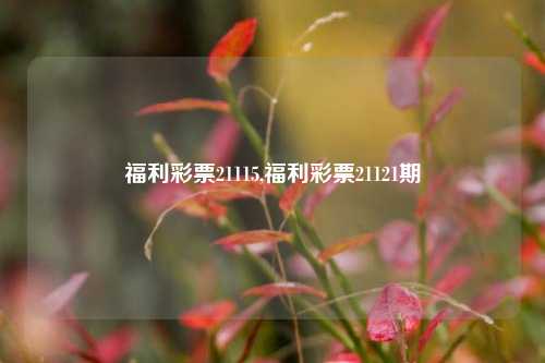 福利彩票21115,福利彩票21121期