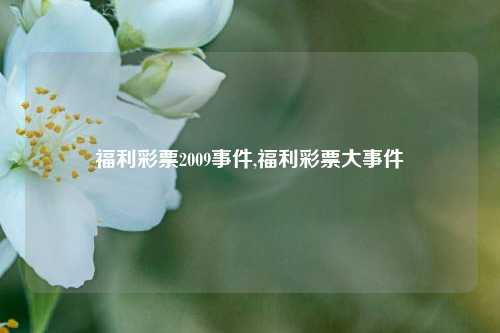 福利彩票2009事件,福利彩票大事件