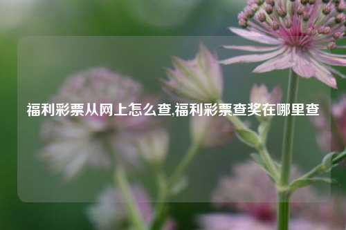 福利彩票从网上怎么查,福利彩票查奖在哪里查