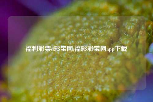 福利彩票d彩宝网,福彩彩宝网app下载