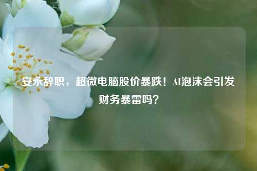 安永辞职，超微电脑股价暴跌！AI泡沫会引发财务暴雷吗？