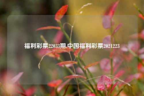 福利彩票22033期,中国福利彩票2021223