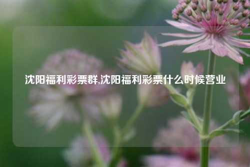 沈阳福利彩票群,沈阳福利彩票什么时候营业