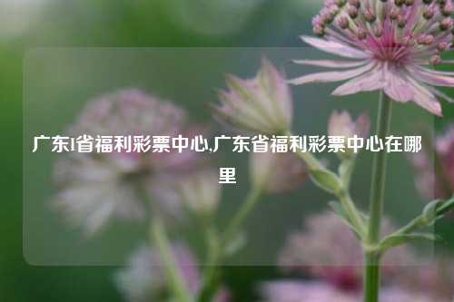 广东I省福利彩票中心,广东省福利彩票中心在哪里