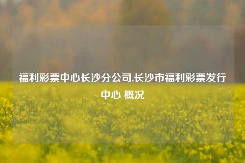 福利彩票中心长沙分公司,长沙市福利彩票发行中心 概况