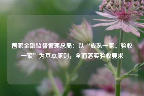 国家金融监督管理总局：以“成熟一家、验收一家”为基本原则，全面落实验收要求