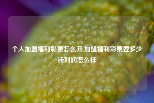 个人加盟福利彩票怎么开,加盟福利彩票要多少钱利润怎么样