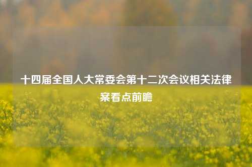 十四届全国人大常委会第十二次会议相关法律案看点前瞻