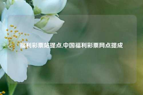 福利彩票站提点,中国福利彩票网点提成