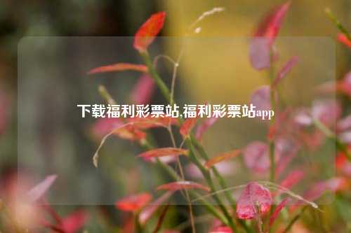 下载福利彩票站,福利彩票站app