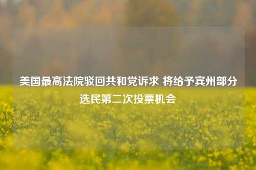 美国最高法院驳回共和党诉求 将给予宾州部分选民第二次投票机会