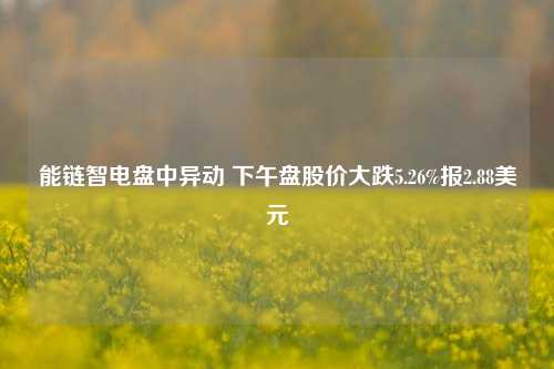 能链智电盘中异动 下午盘股价大跌5.26%报2.88美元