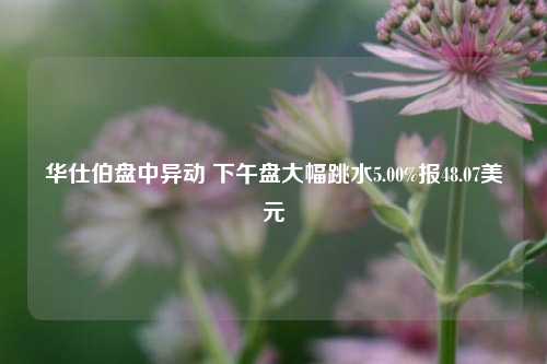 华仕伯盘中异动 下午盘大幅跳水5.00%报48.07美元