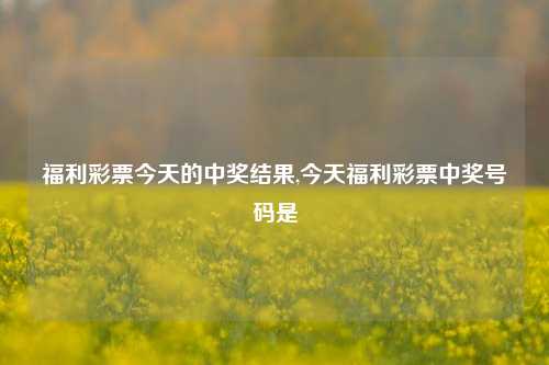 福利彩票今天的中奖结果,今天福利彩票中奖号码是