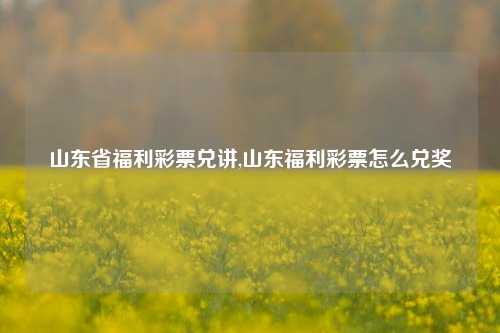 山东省福利彩票兑讲,山东福利彩票怎么兑奖