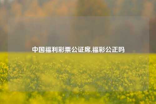 中国福利彩票公证席,福彩公正吗