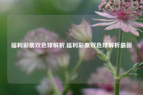 福利彩票双色球解析,福利彩票双色球解析最新