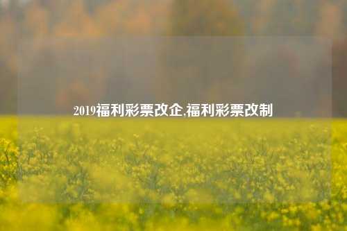 2019福利彩票改企,福利彩票改制