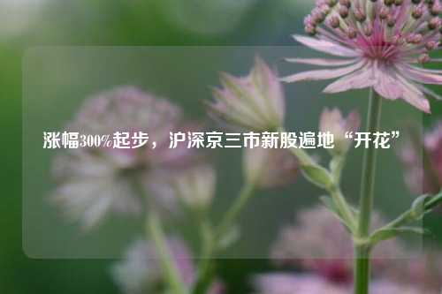 涨幅300%起步，沪深京三市新股遍地“开花”