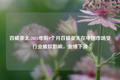 百威亚太:2024年前9个月百威亚太在中国市场受行业疲软影响，业绩下滑