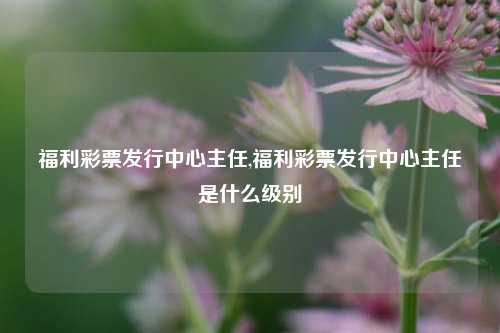 福利彩票发行中心主任,福利彩票发行中心主任是什么级别