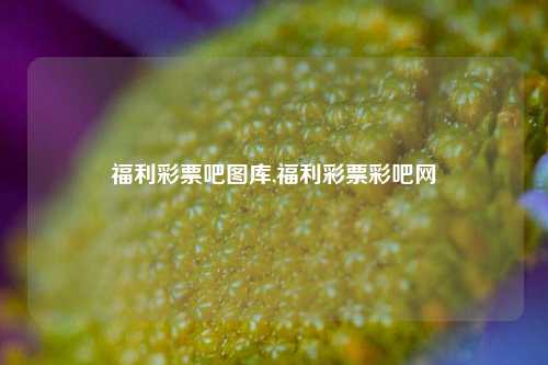 福利彩票吧图库,福利彩票彩吧网