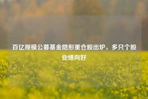 百亿规模公募基金隐形重仓股出炉，多只个股业绩向好