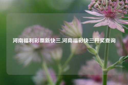 河南福利彩票新快三,河南福彩快三开奖查询