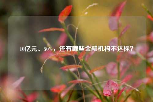 10亿元、50%，还有哪些金融机构不达标？