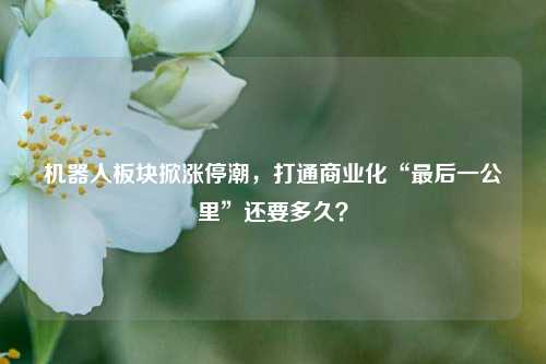 机器人板块掀涨停潮，打通商业化“最后一公里”还要多久？