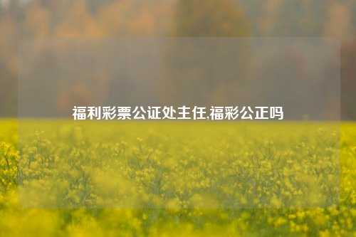 福利彩票公证处主任,福彩公正吗