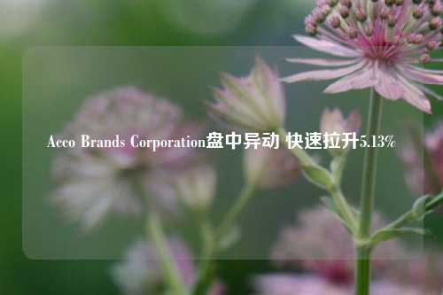 Acco Brands Corporation盘中异动 快速拉升5.13%