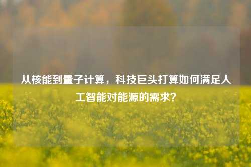 从核能到量子计算，科技巨头打算如何满足人工智能对能源的需求？