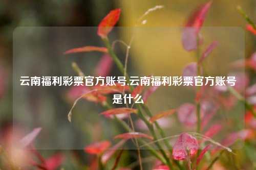 云南福利彩票官方账号,云南福利彩票官方账号是什么