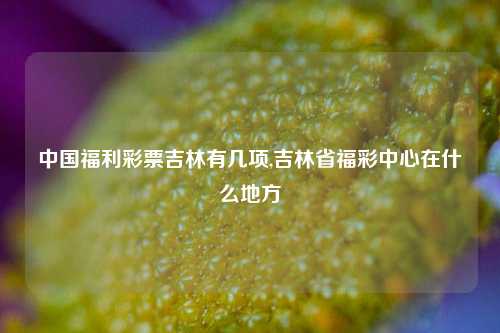 中国福利彩票吉林有几项,吉林省福彩中心在什么地方