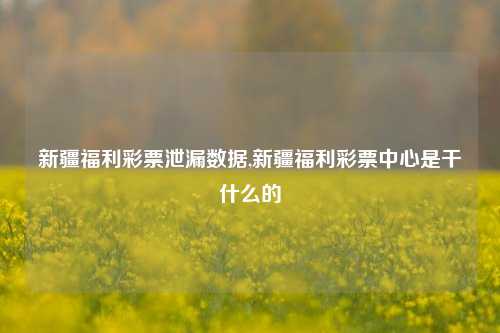 新疆福利彩票泄漏数据,新疆福利彩票中心是干什么的