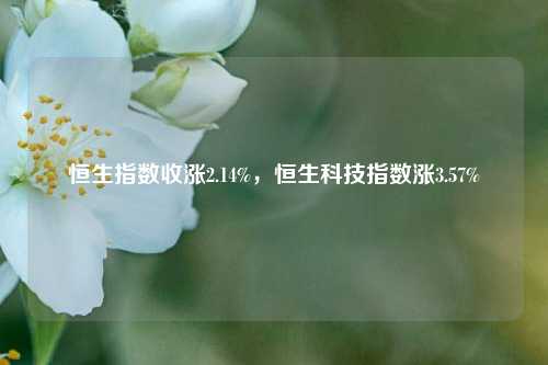 恒生指数收涨2.14%，恒生科技指数涨3.57%