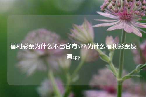 福利彩票为什么不出官方APP,为什么福利彩票没有app