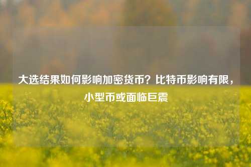 大选结果如何影响加密货币？比特币影响有限，小型币或面临巨震