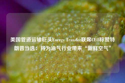 美国管道运输巨头Energy Transfer联席CEO称赞特朗普当选：将为油气行业带来“新鲜空气”