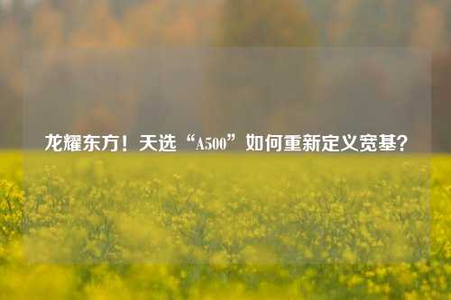 龙耀东方！天选“A500”如何重新定义宽基？