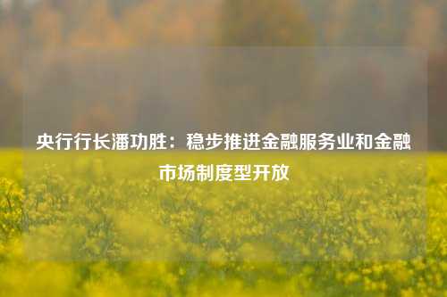 央行行长潘功胜：稳步推进金融服务业和金融市场制度型开放