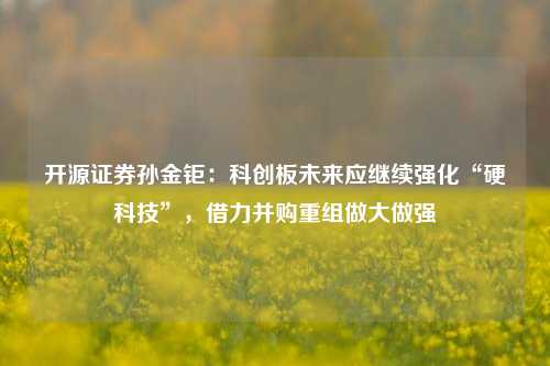 开源证券孙金钜：科创板未来应继续强化“硬科技”，借力并购重组做大做强